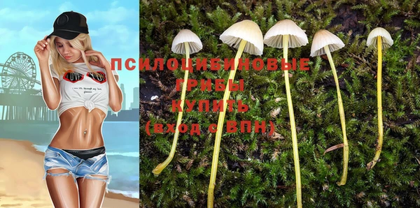 ешки Богородицк