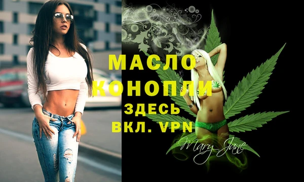 таблы Бородино