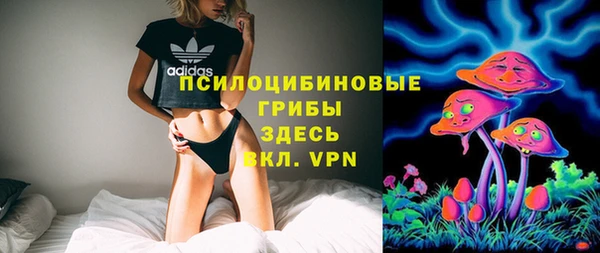прущая мука Богданович