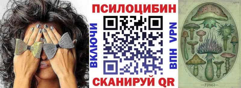 Псилоцибиновые грибы GOLDEN TEACHER  закладка  Баксан 